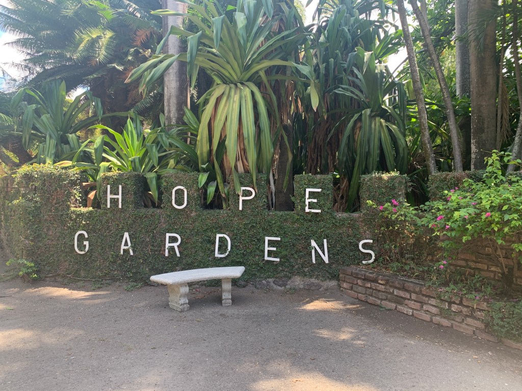 Exploring Kingston’s Academic and Cultural&nbsp;Heart